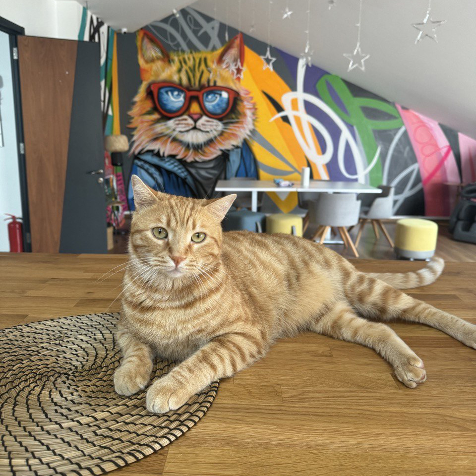 photo_2024-09-02_16-38-19